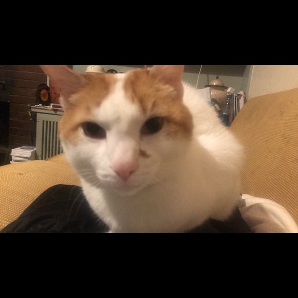 WHOLESALER OF SHIPPING SUPPLIES ETC - Picture 1 of 1